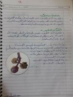 ملخص مادة العلوم للصف الخامس الابتدائي 

موضوع الجهاز التنفسي مع الخطة الخماسية