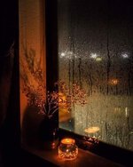 FB_IMG_1639673664084.jpg