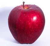 الاط.PNG الاط.PNG