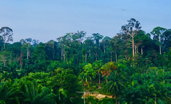 زيارة إلى بورنيو ثالث أكبر جزيرة في العالم