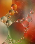 macro-oil-and-water-oil-water-floating-ellipses-reflections-colourful.jpg