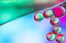 oil-in-water-oil-water-abstract-macro-close-up-texture-cells-circle.jpg