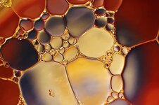 abstract-oil-water-blue-gold-red-media-modern-artistic.jpg