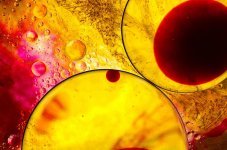 abstract-water-oil-macro-water-bubbles-circle-round-yellow-red.jpg