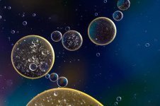 oil-in-water-suspension-liquid-abstract-macro-oil-close-up-cells-circle.jpg