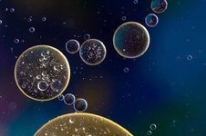 oil-in-water-suspension-liquid-abstract-macro-oil-close-up-cells-circle.jpg