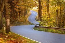 curves-autumn-forest-fall-foliage-trees-forest-autumn-away-road-autumn-colours.jpg