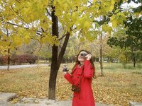 autumn-yellow-leaves-girl-park-living-nature-stroll-trees-leaves-autumn-leaf.jpg