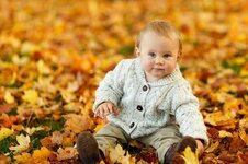 autumn-fall-baby-boy-child-cute-kid-outdoor-park-people.jpg