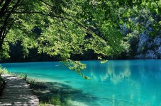 plitvice-lakes-croatia-water-green-park-lake-forest-landscape-wilderness.jpg