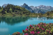 truebsee-titlis-switzerland-panorama-alpine-landscape-alpine-roses-mountains-lake.jpg