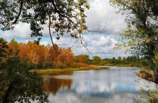 forest-autumn-nature-park-lake-gold-trees-bright-beauty.jpg