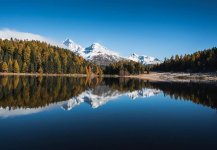 lake-mountains-trees-alps-alpine-snow-mountains-conifers-coniferous-conifer-forest.jpg