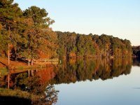 lake-water-tree-landscape-scenery-nature-fall.jpg