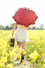 path-field-country-nature-sun-meadow-dirt-road-suitcase-yellow.jpg