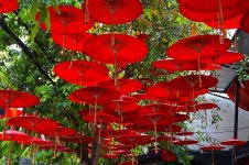 umbrellas-canopy-red-parasol-protection-symbol-icon-protect-brolly.jpg