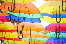 colorful-umbrellas-colour-rain-joyful-mood-optimism-umbrellas-inclement-weather-meteo-fun.jpg