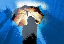 woman-girl-rain-water-umbrella-wet-city-character-figure.jpg