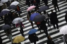 people-rainy-busy-japan-osaka-umbrella-wet-pedestrian-road.jpg