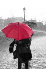 rain-water-drops-rainy-rainy-day-umbrella-red-color-black-and-white.jpg