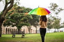 rain-umbrella-girl-melancholy-campus-bench.jpg