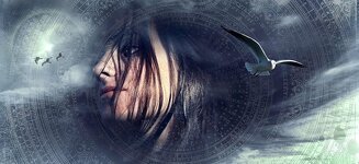 fantasy-portrait-gull-birds-sky-hair-woman-female-light.jpg