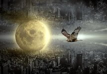 fantasy-city-moon-hawk-mood-building-surreal-light-mysterious.jpg