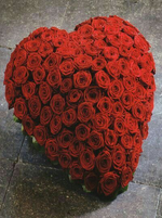 1643026956937.png 1643026956937.png