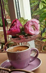 1643193547177.png 1643193547177.png