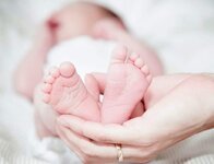 FB_IMG_1643193715550.jpg FB_IMG_1643193715550.jpg