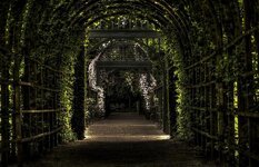 prinsentuin-vines-garden-leaves-arches.jpg