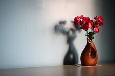 flower-wooden-vase-shadow-table.jpg