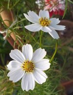 لا تكــن أبدًا ذلك الشخص...