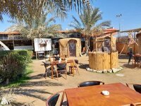 شابة من ميسان تتحدى التقاليد وتفتح مطعماً للسمك المسكوف