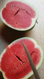 فوائد البطيخ الأحمر أو الركي.