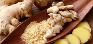 1645110431270.png 1645110431270.png