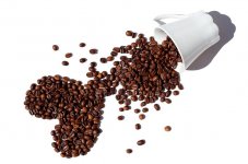 coffee-beans-coffee-beans-isolated-white-white-color-isolated-on-white-white-background-heart.jpg