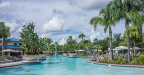 resort-pool-tropical-florida-summer-vacation-swimming-pool-blue-travel.jpg