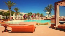 resort-pool-swimming-pool-tropical-vacation-hotel-leisure-holiday-palm-trees.jpg