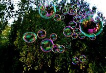 soap-bubbles-colorful-flying-make-soap-bubbles-mirroring-soapy-water-balls.jpg