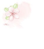 منتديات شباب الرافدين 1 (21).jpg