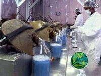 الدم الازرق