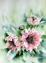 watercolour-painting-art-paint-watercolor-nature-flowers-garden-summer.jpg