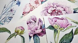 art-flowers-painting-watercolor-peonies-color-paper.jpg