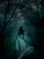 woman-female-girl-white-dress-wood-forest-sleep-walking-darkness-dark.jpg woman-female-girl-white-dress-wood-forest-sleep-walking-darkness-dark.jpg