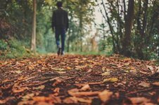 autumn-fall-ground-leaves-man-outdoors-person.jpg