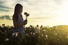 model-red-weed-field-green-plant-light-flower-sun-color.jpg