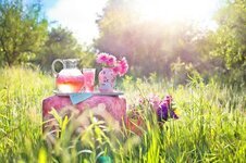 pink-lemonade-summer-outdoors-beverage-refreshment-cold-thirsty.jpg