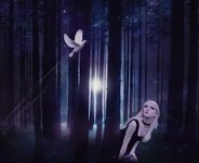 HD-wallpaper-magic-beauty-woman-beauty-dove-forrest.jpg