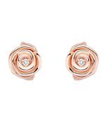 اقراط من ديور Dior.jpg اقراط من ديور Dior.jpg